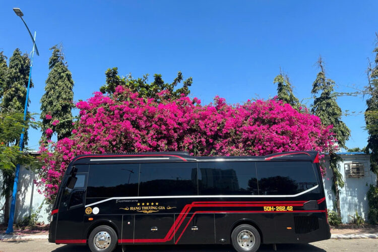 Cho thue xe limousine 19 15